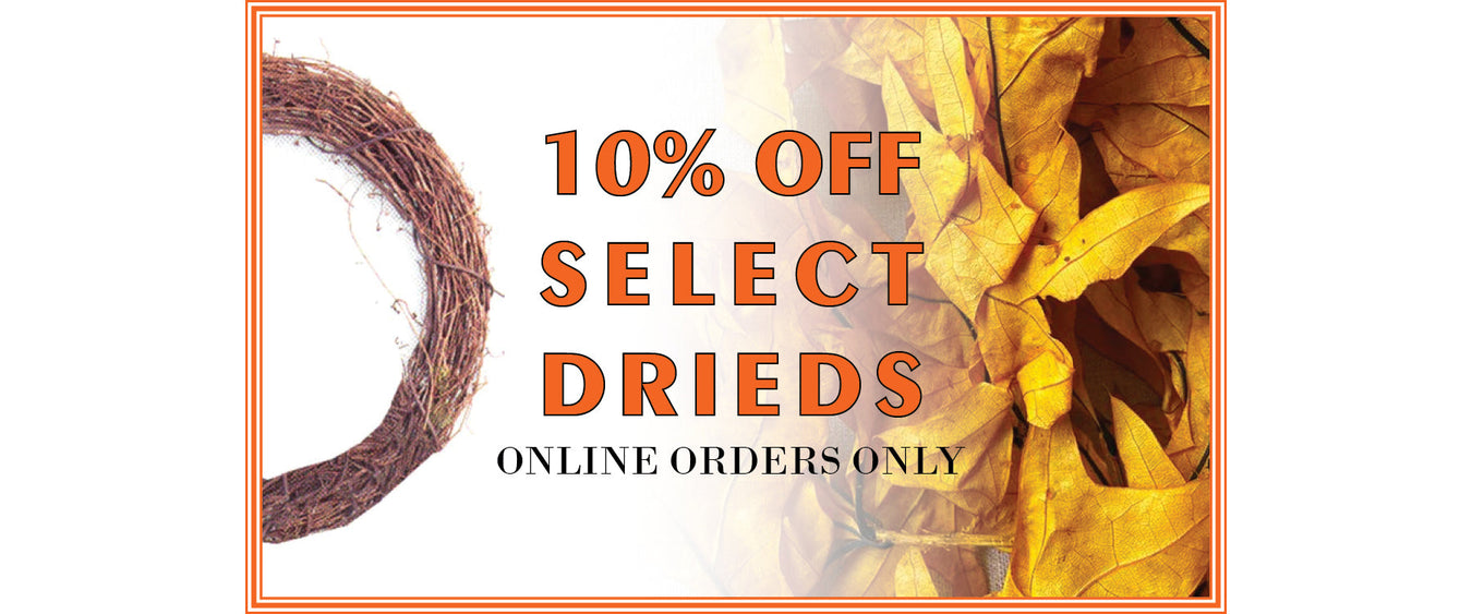 10% Off Fall Drieds! (Discount Appears In Cart)