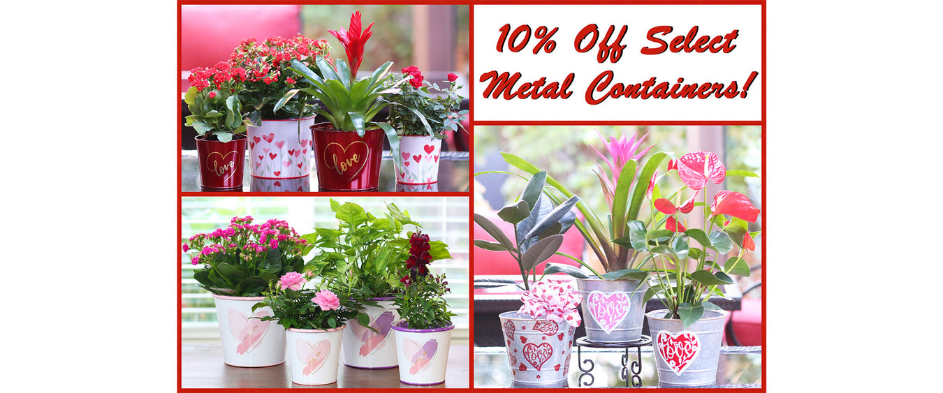 10% Off Select Metal Containers! (Discount Appears In Cart)