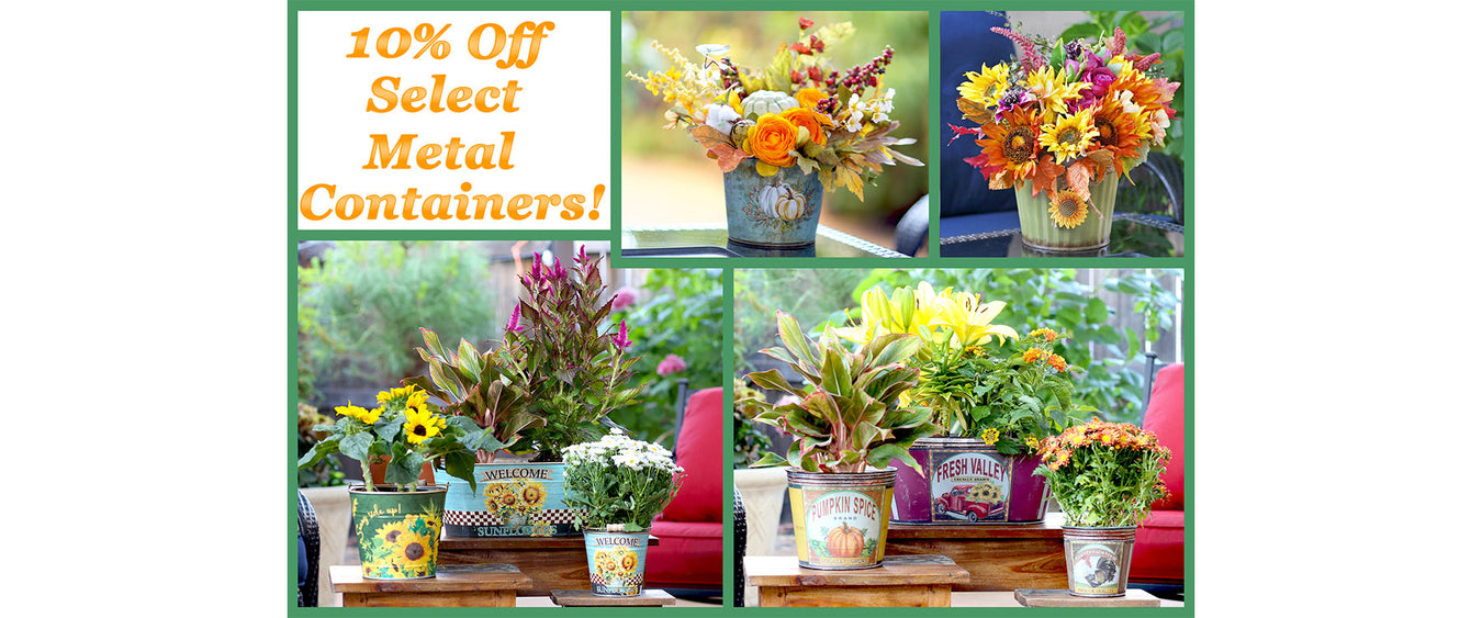 10% Off Select Metal Containers! (Online Orders Only)