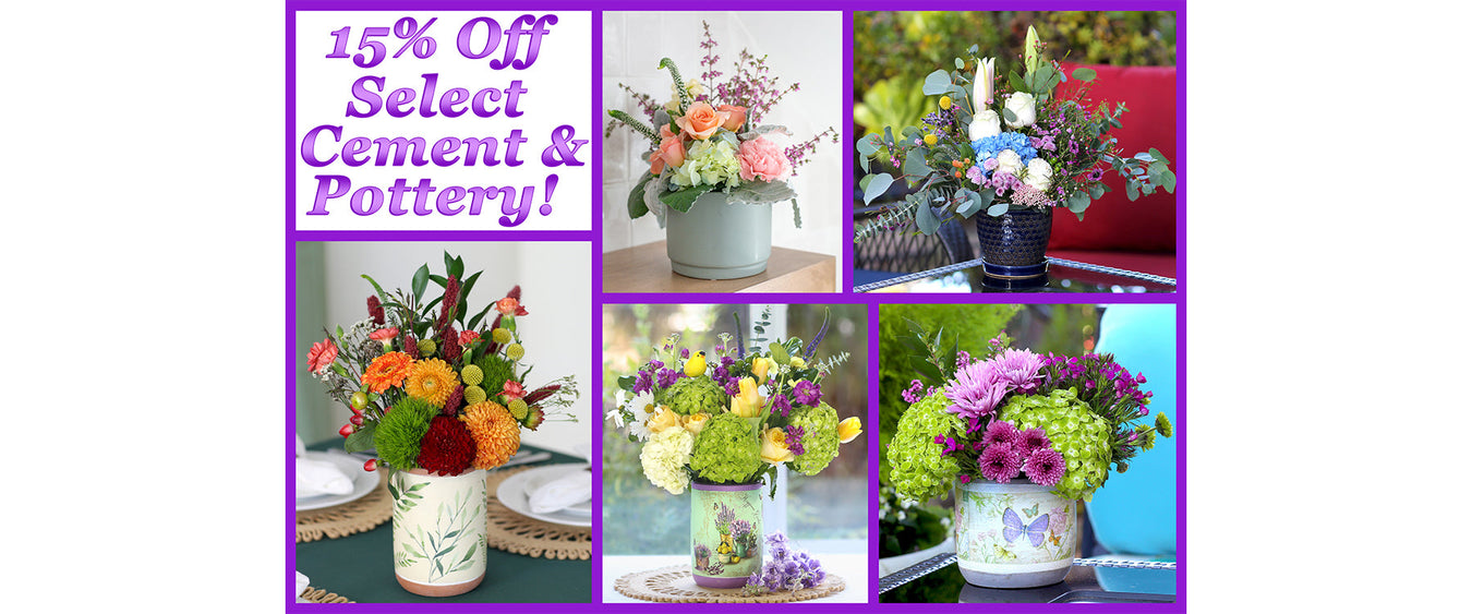 15% Off Select Cement & Pottery Containers! (Online Orders Only)