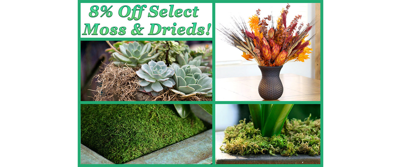 8% Off Select Moss & Drieds! (Online Orders Only)