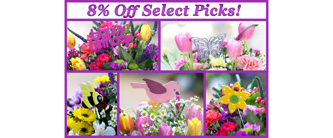 8% Off Select Picks! (Online Orders Only)