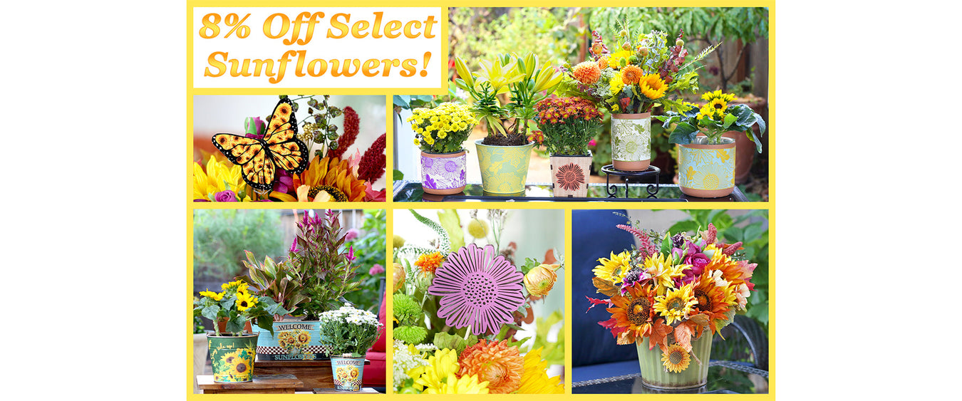 8% Off Select Sunflowers! (Online Orders Only)