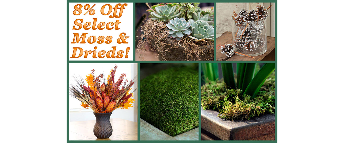 8% Off Select Moss & Drieds! (Online Orders Only)
