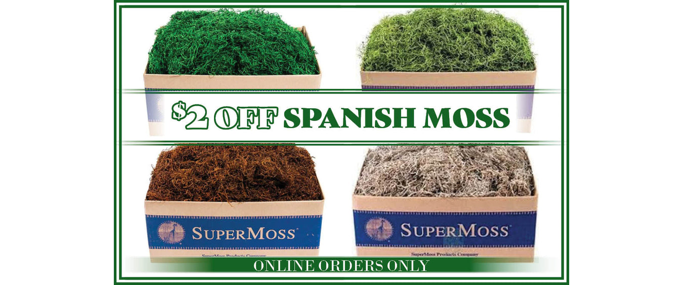 $2 Off Spanish Moss! (Discount Appears In Cart)