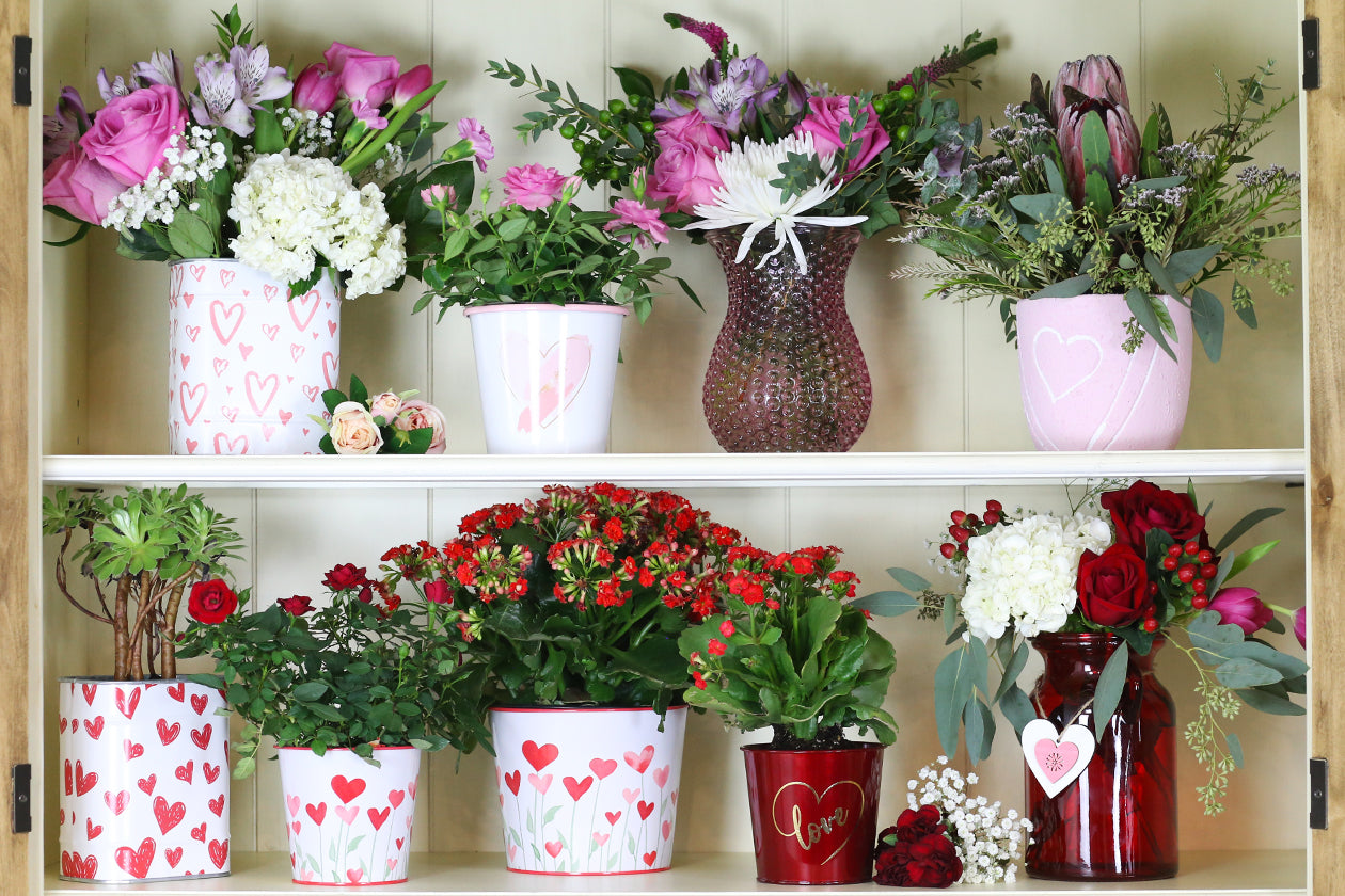 All Valentine's Day Containers