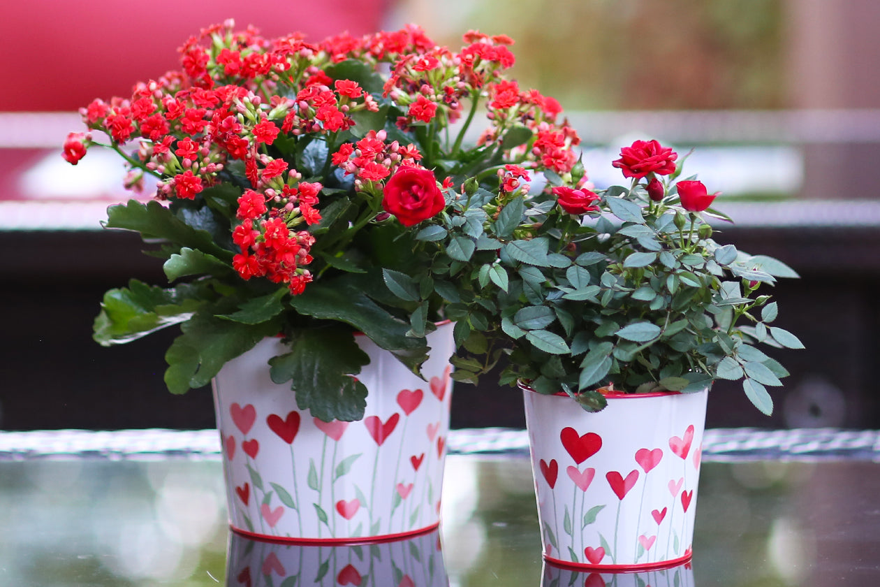 Valentine's Day Metal Containers