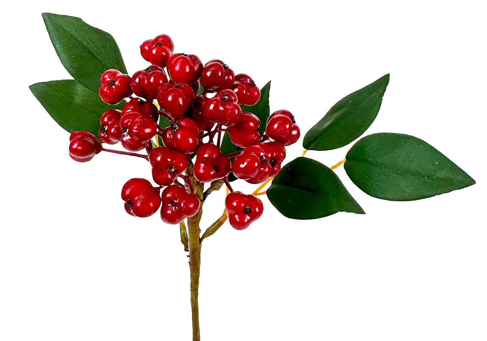 (X922) 326721RED