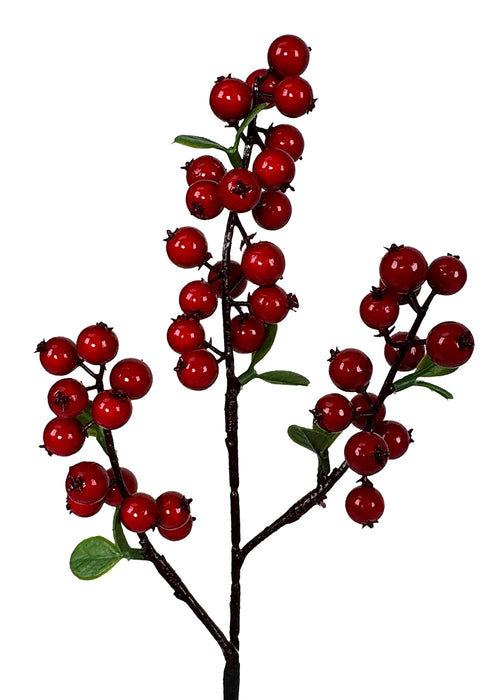 (X920) 326730RED