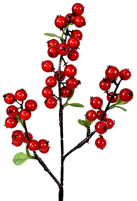 (X920) 326730RED