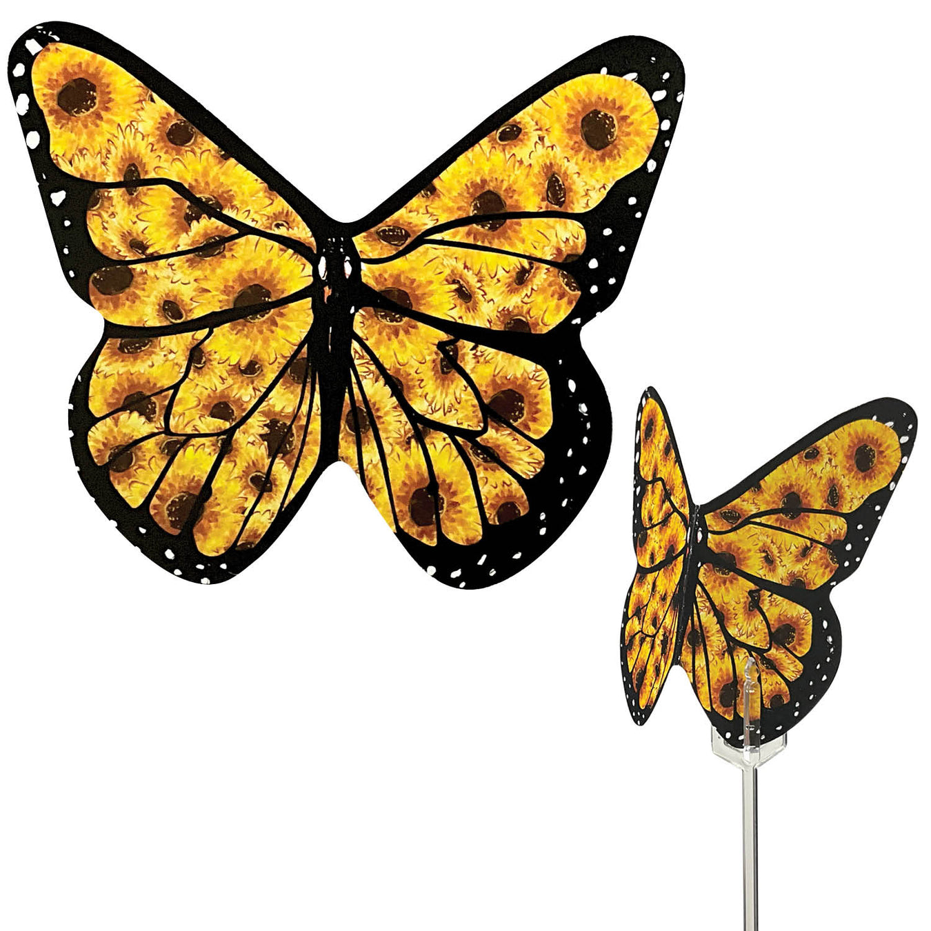 Butterfly Enclosure Cards