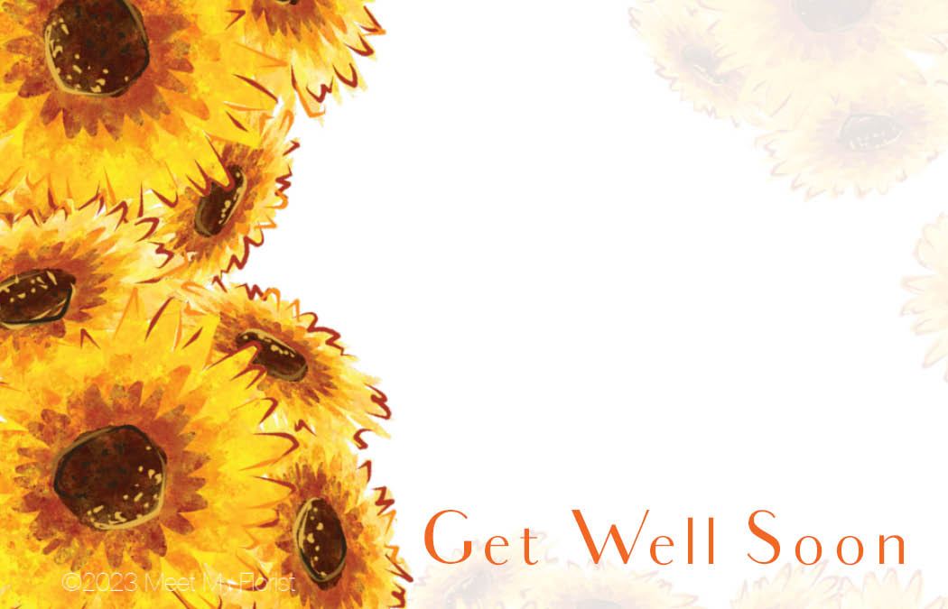 Get Well Enclosure Cards