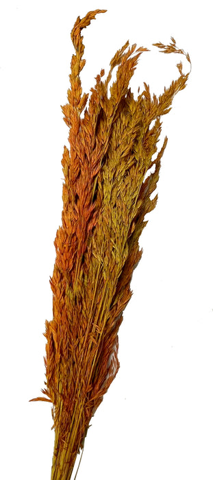 (K588) 08410-Autumntone
